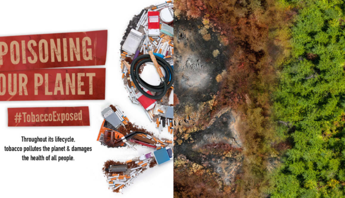 wntd-2022-banner-32-.tmb-1920v